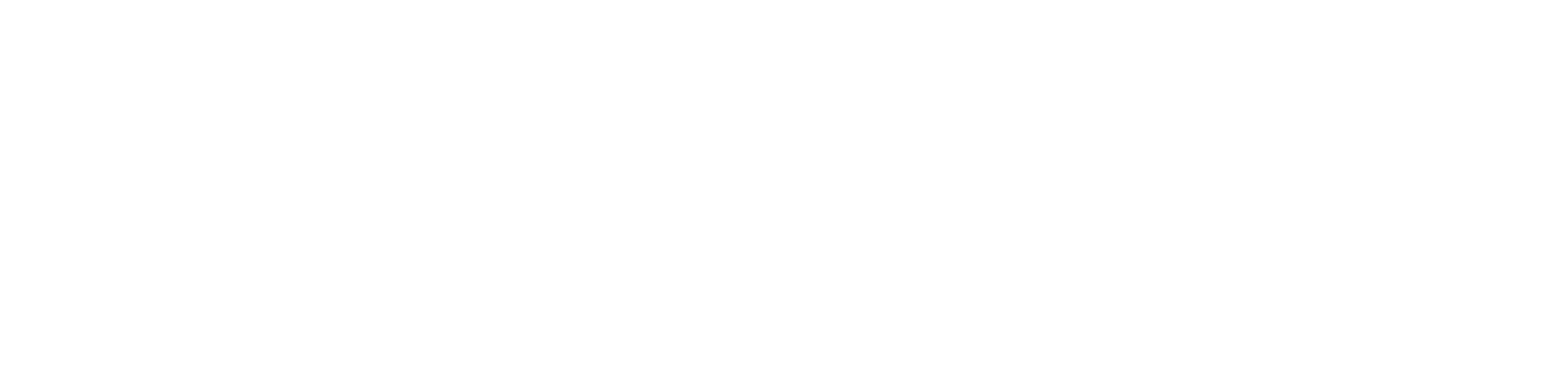 BioSonic